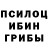 Псилоцибиновые грибы GOLDEN TEACHER Pahlavon Ikromov