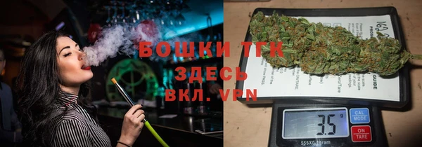 сатива Баксан