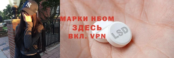 сатива Баксан