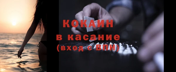 сатива Баксан