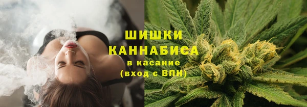 сатива Баксан