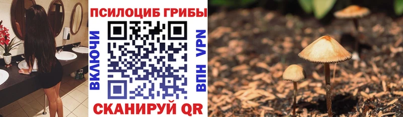 omg зеркало  Можга  Галлюциногенные грибы мухоморы 